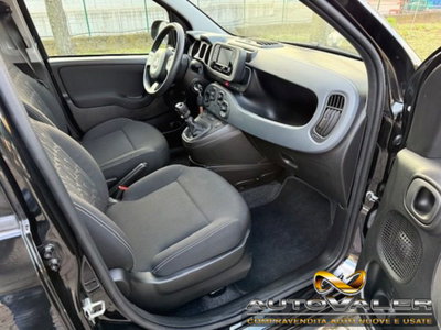 Fiat Panda 1.0 firefly hybrid s&s 70cv 5p.ti (7)