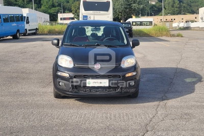 Fiat Panda 1.3 MJT 95 CV S&S Easy (2)