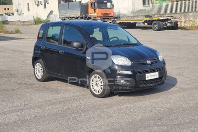 Fiat Panda 1.3 MJT 95 CV S&S Easy (3)
