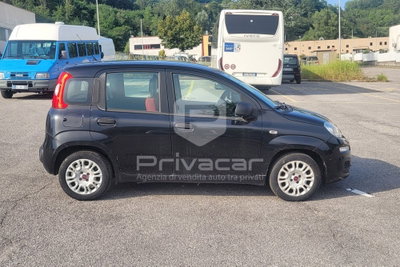 Fiat Panda 1.3 MJT 95 CV S&S Easy (4)