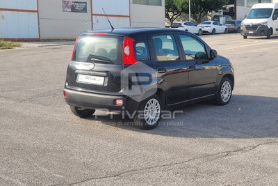 Fiat Panda 1.3 MJT 95 CV S&S Easy (5)