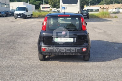 Fiat Panda 1.3 MJT 95 CV S&S Easy (6)