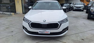 Skoda Octavia Station Wagon 2.0 TDI EVO SCR DSG Wagon Executive (4)