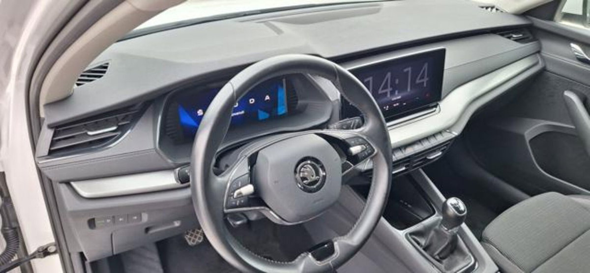 Skoda Octavia Station Wagon 2.0 TDI EVO SCR DSG Wagon Executive (8)