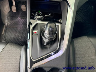 Peugeot 3008 BlueHDi 130 S&S Allure (14)