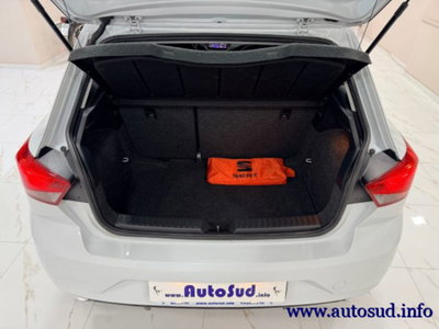 SEAT Ibiza 1.6 TDI 95 CV 5 porte Business (17)
