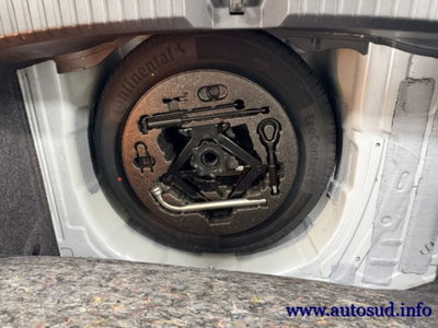 SEAT Ibiza 1.6 TDI 95 CV 5 porte Business (18)
