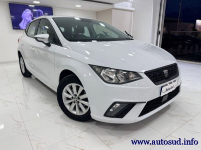 SEAT Ibiza 1.6 TDI 95 CV 5 porte Business (19)