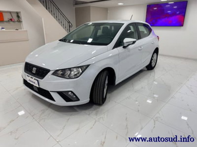 SEAT Ibiza 1.6 TDI 95 CV 5 porte Business (3)