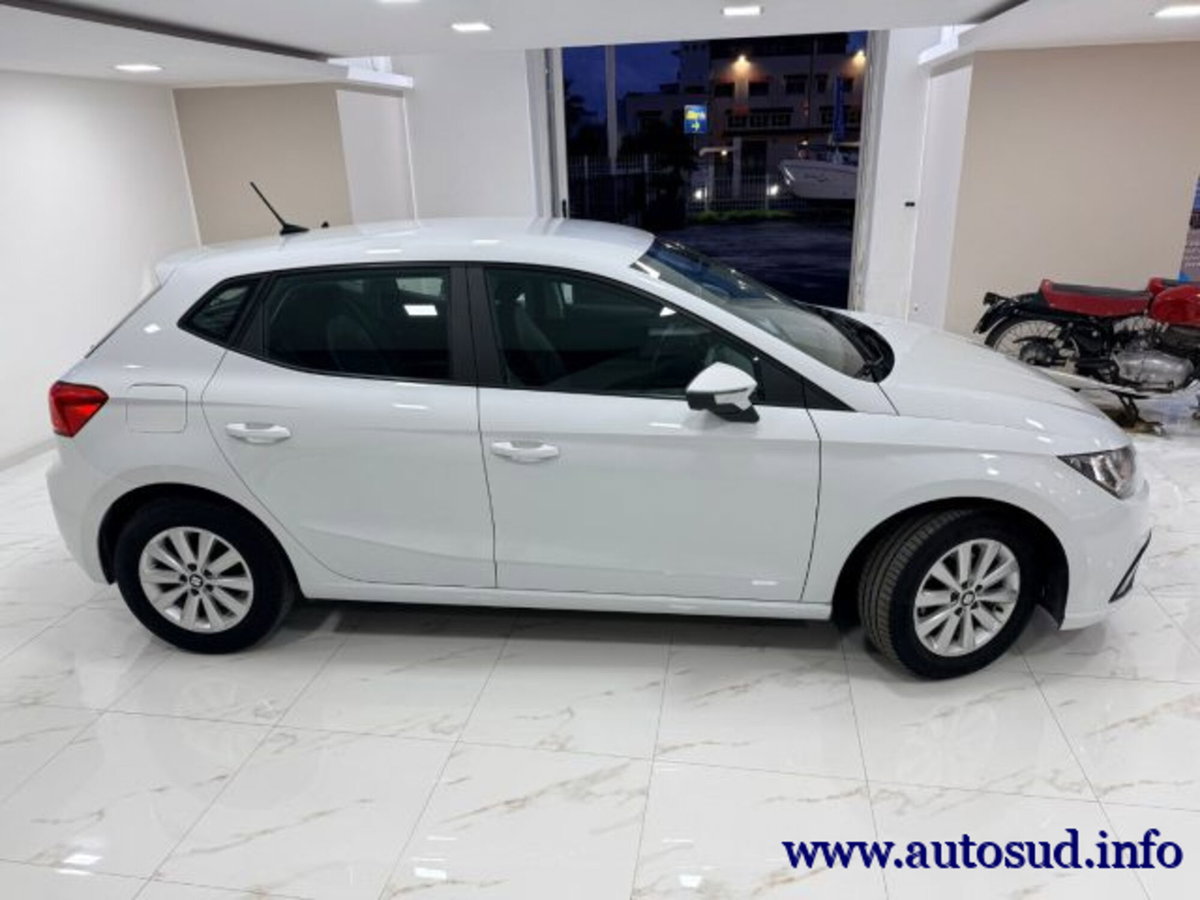 SEAT Ibiza 1.6 TDI 95 CV 5 porte Business (7)