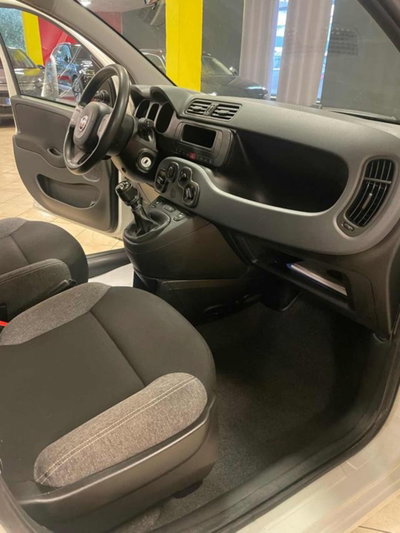 Fiat Panda 1.0 firefly hybrid s&s 70cv 5p.ti (7)