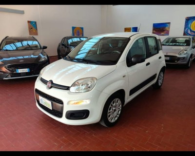 Fiat Panda 1.2 Easy usata
