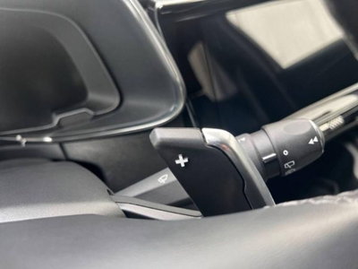 Ds DS 7 1.5 bluehdi Opera 130cv auto (15)
