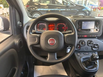 Fiat Panda 1.0 firefly hybrid s&s 70cv 5p.ti (12)
