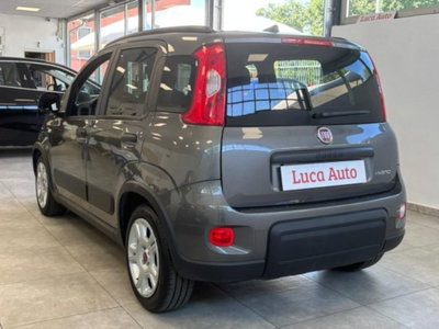 Fiat Panda 1.0 firefly hybrid s&s 70cv 5p.ti (6)
