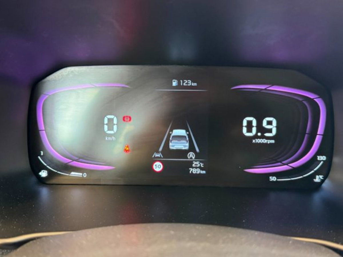 Kia Picanto 1.0 dpi Launch Edition (12)