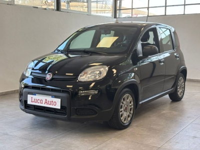 Fiat Panda 1.0 firefly hybrid s&s 70cv 5p.ti usata
