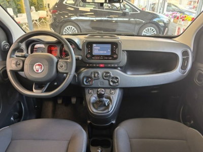 Fiat Panda 1.0 firefly hybrid s&s 70cv 5p.ti (10)
