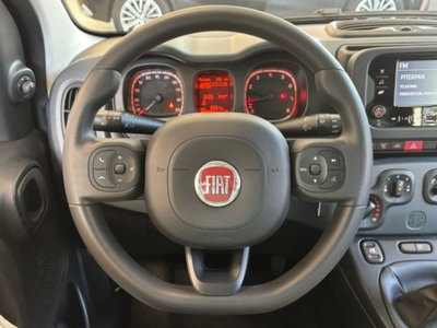 Fiat Panda 1.0 firefly hybrid s&s 70cv 5p.ti (12)