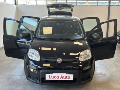 Fiat Panda 1.0 firefly hybrid s&s 70cv 5p.ti (2)