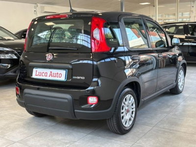Fiat Panda 1.0 firefly hybrid s&s 70cv 5p.ti (4)