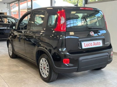 Fiat Panda 1.0 firefly hybrid s&s 70cv 5p.ti (6)