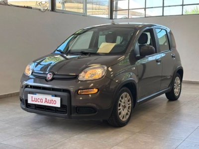 Fiat Panda 1.0 firefly hybrid s&s 70cv 5p.ti usata