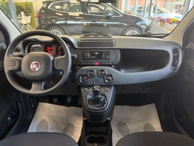 Fiat Panda 1.0 firefly hybrid s&s 70cv 5p.ti (10)