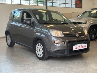 Fiat Panda 1.0 firefly hybrid s&s 70cv 5p.ti (3)