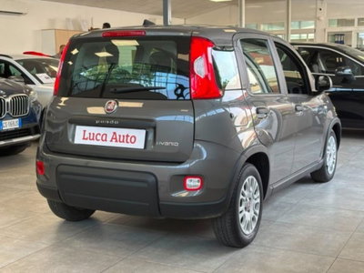 Fiat Panda 1.0 firefly hybrid s&s 70cv 5p.ti (4)