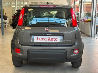 Fiat Panda 1.0 firefly hybrid s&s 70cv 5p.ti (5)