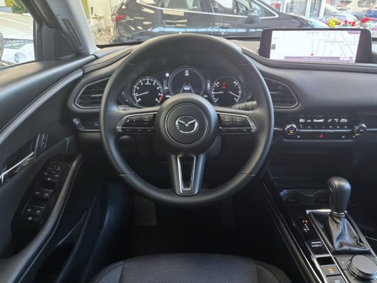 Mazda CX-30 2.0 m-hybrid Exclusive Line Design awd 150cv 6at (10)