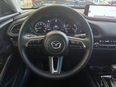 Mazda CX-30 2.0 m-hybrid Exclusive Line Design awd 150cv 6at (11)