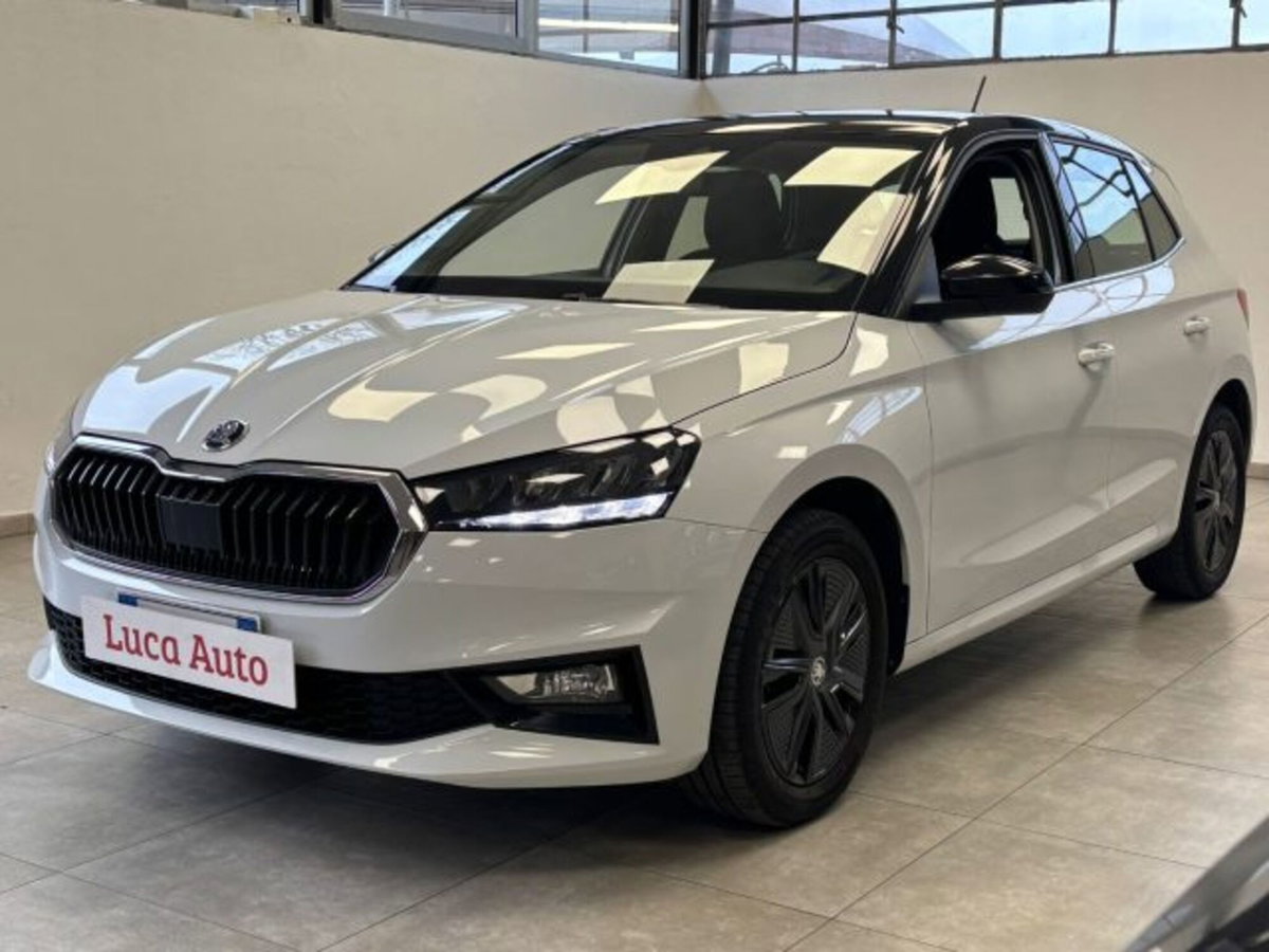 Skoda Fabia 1.0 mpi Selection 80cv (2)