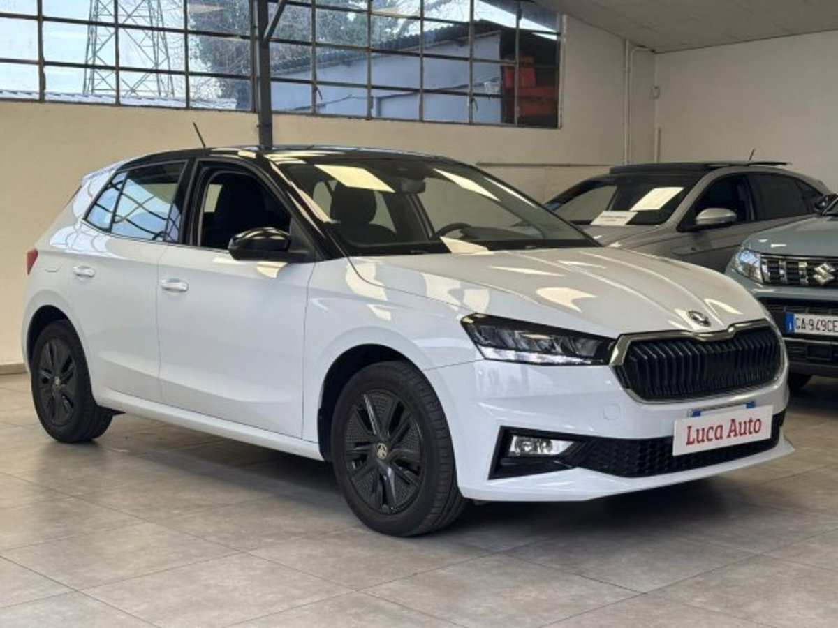 Skoda Fabia 1.0 mpi Selection 80cv (3)