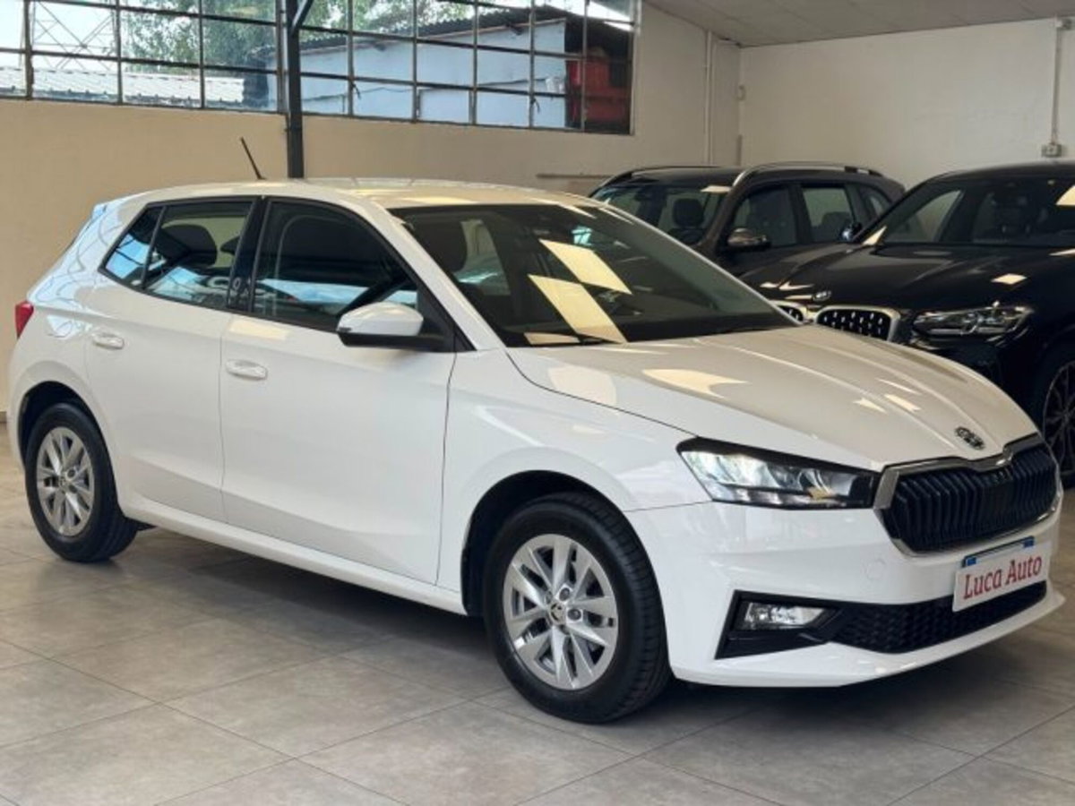 Skoda Fabia 1.0 mpi Selection 80cv (3)