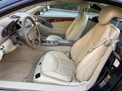 Mercedes-Benz SL 350 cat (10)