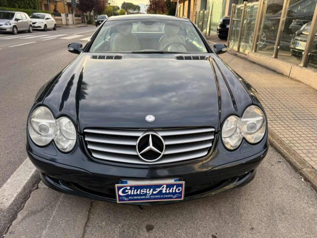 Mercedes-Benz SL 350 cat (2)