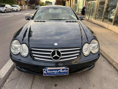Mercedes-Benz SL 350 cat (2)