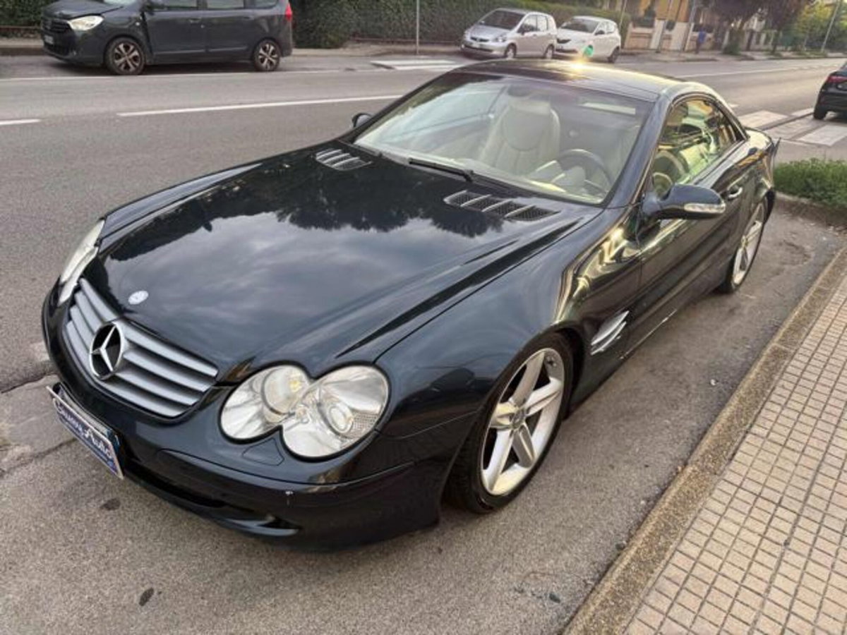 Mercedes-Benz SL 350 cat (3)