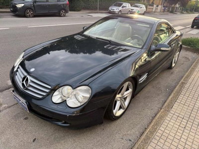 Mercedes-Benz SL 350 cat (3)
