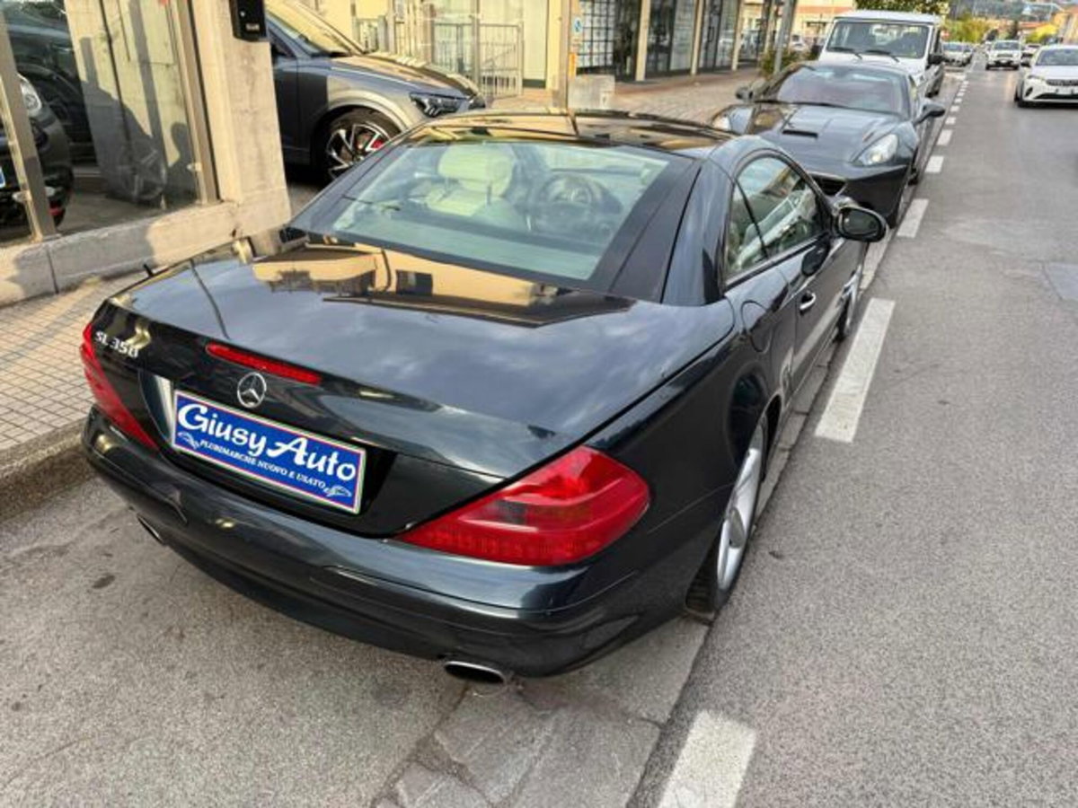 Mercedes-Benz SL 350 cat (4)