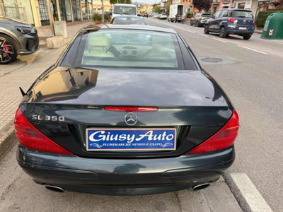 Mercedes-Benz SL 350 cat (5)