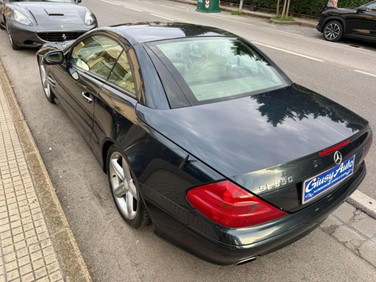Mercedes-Benz SL 350 cat (6)