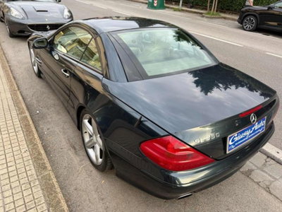 Mercedes-Benz SL 350 cat (6)