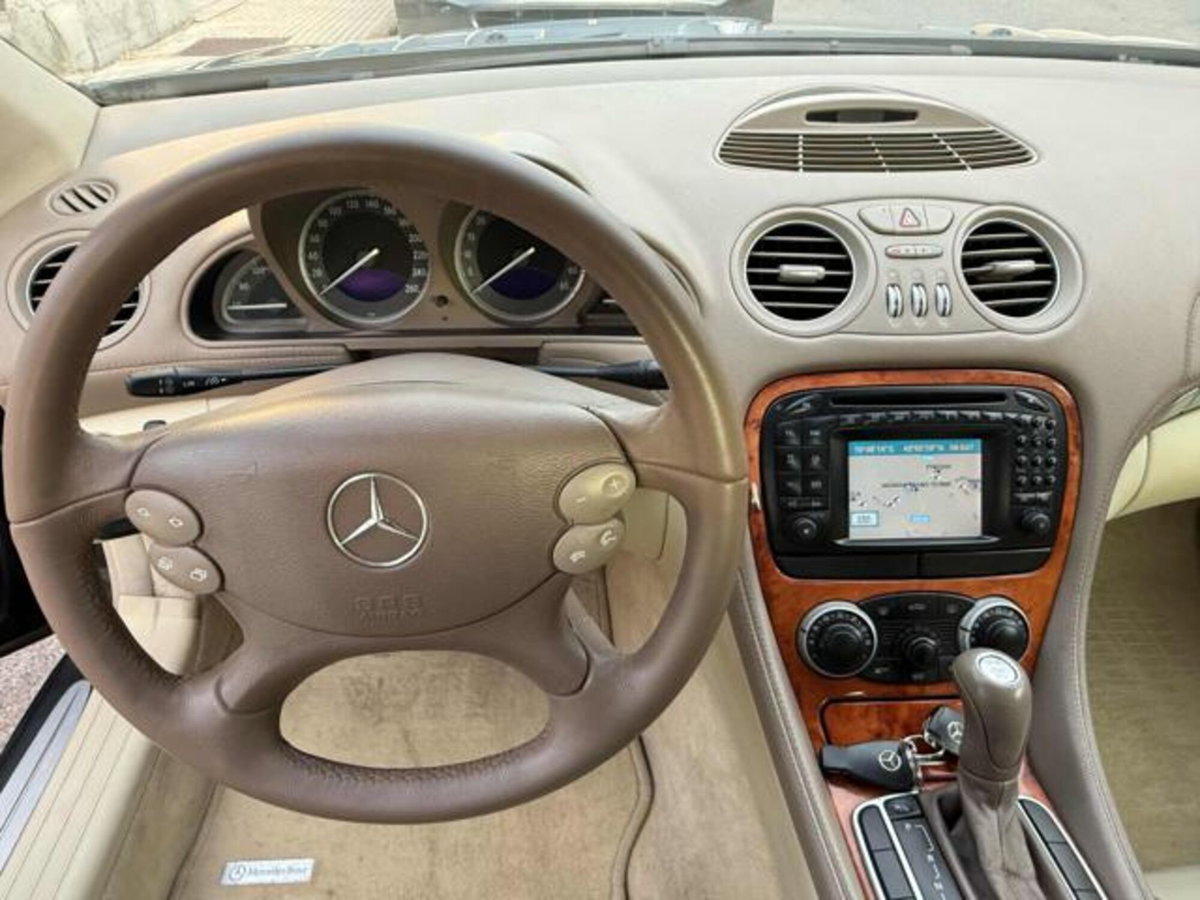 Mercedes-Benz SL 350 cat (7)