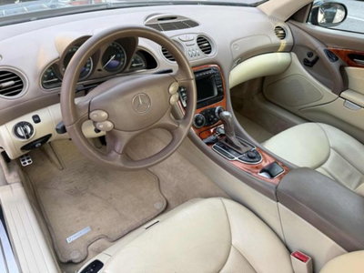 Mercedes-Benz SL 350 cat (8)