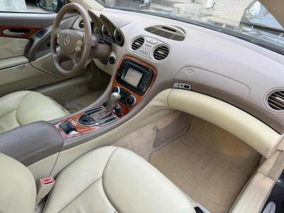 Mercedes-Benz SL 350 cat (9)