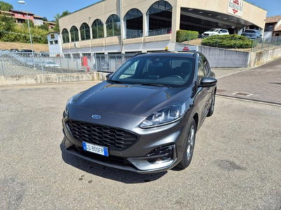 Ford Kuga 2.0 EcoBlue 120 CV aut. 2WD ST-Line