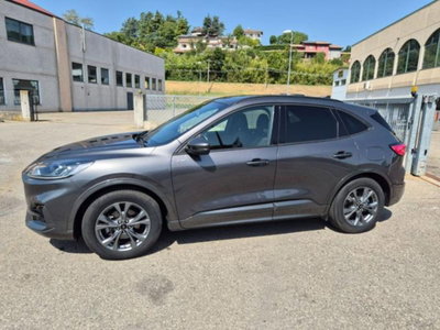 Ford Kuga 2.0 EcoBlue 120 CV aut. 2WD ST-Line (3)